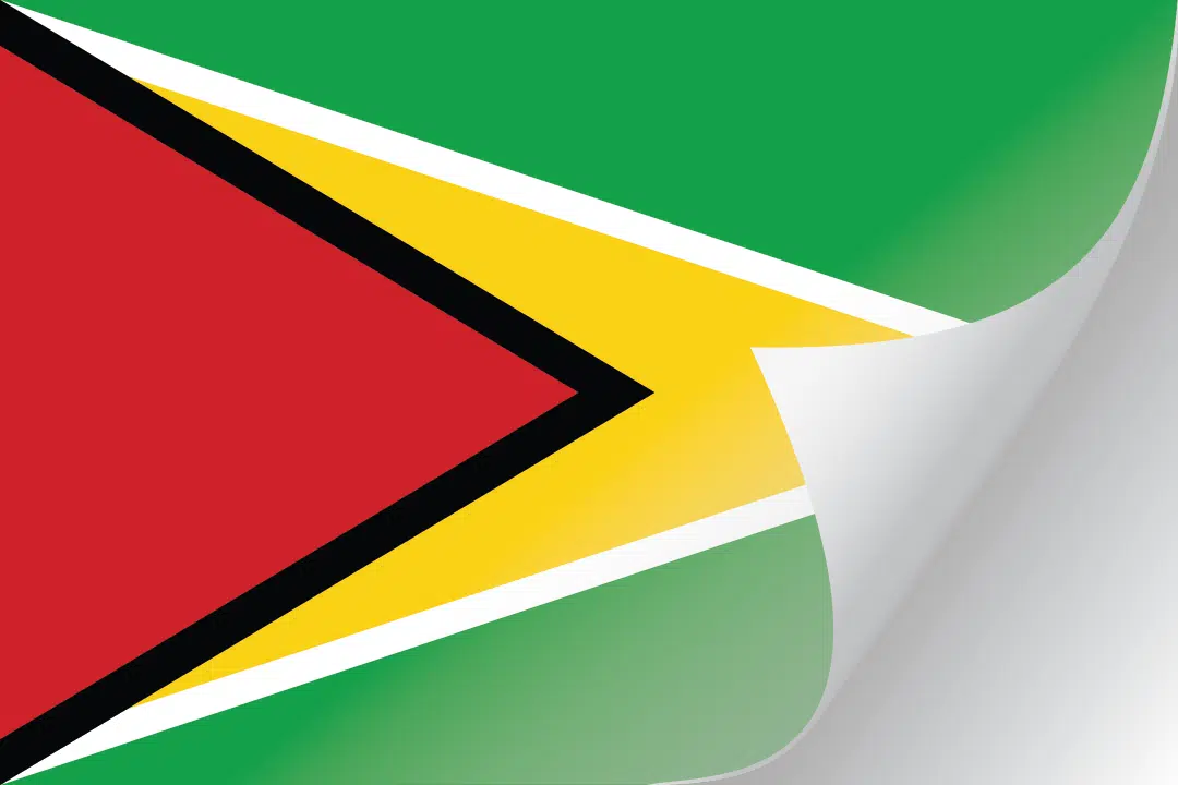 3"x5" Guyana Flag Decal