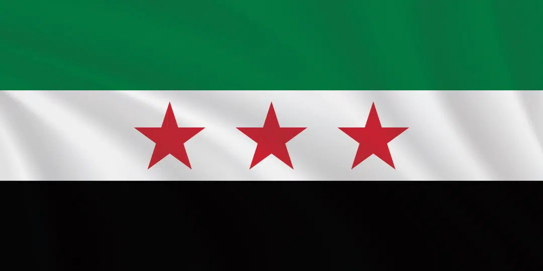 Syria flag in a 1:2 proportion