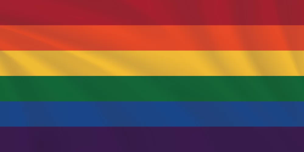 1:2 Ratio Rainbow Pride Flag