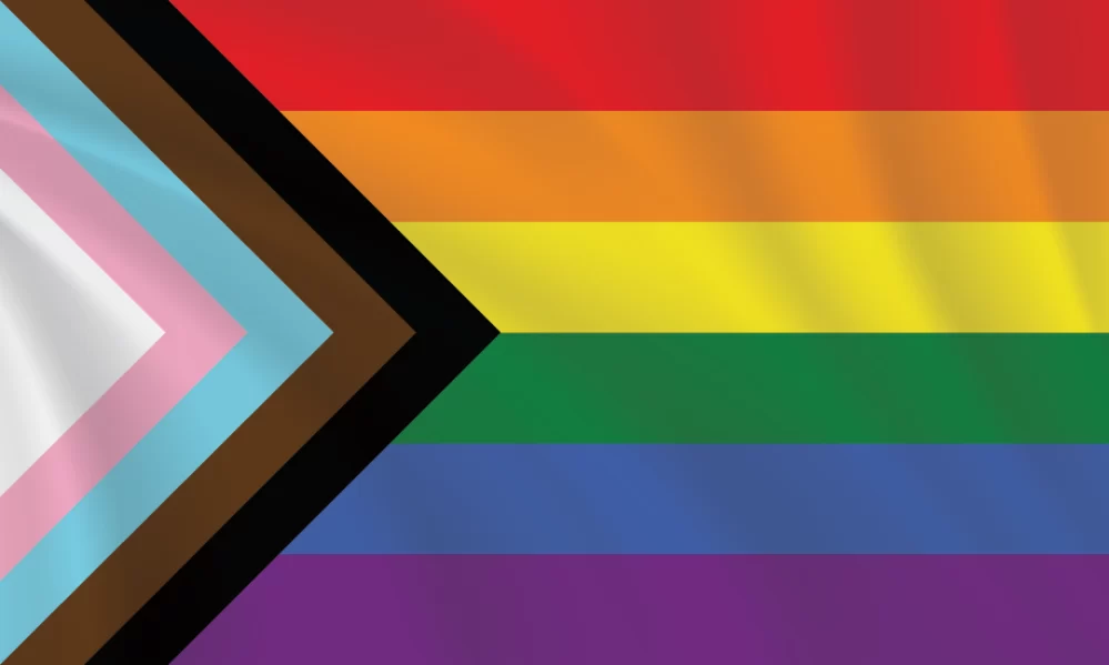 3:5 Ratio Progress Pride Flag