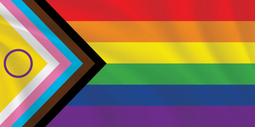 Premium Intersex Inclusive Pride Flag 1:2