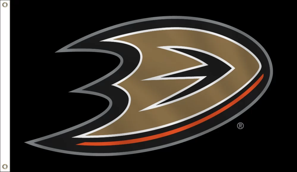 Anaheim ducks