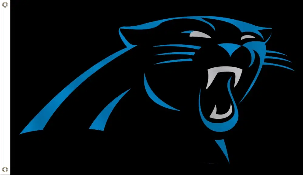 Carolina Panthers Flag