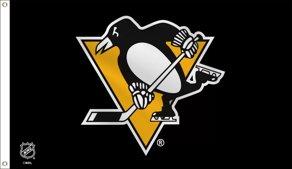 36" x 60" (3' x 5') Pittsburgh Penguins flag