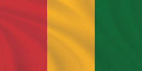 Premium Sewn Guinea Flag