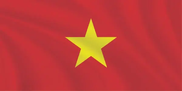 Premium Sewn Vietnam Flag
