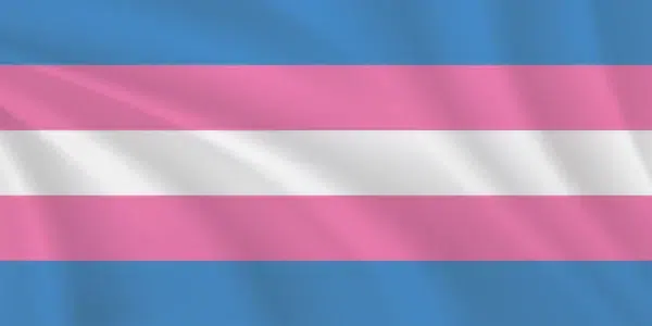 Premium Sewn Transgender Pride Flag