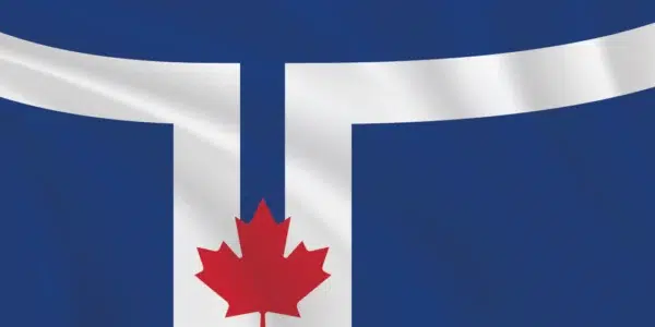 Municipal Flags - City of Toronto flag 1x2