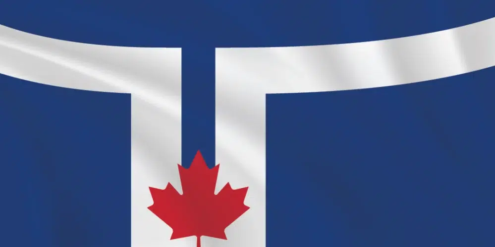 Municipal Flags - City of Toronto flag 1x2